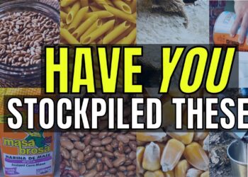 20 Long-Term Food Items for Preppers: A Guide to Storing Food in Mylar Bags