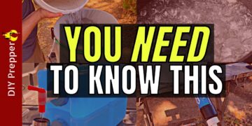 The Importance of Water Purification for Preppers